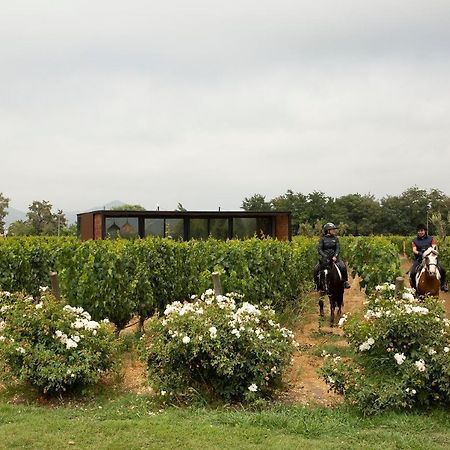 Vibo Wine Lodge At Viu Manent 圣克鲁兹 外观 照片