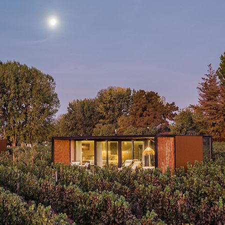 Vibo Wine Lodge At Viu Manent 圣克鲁兹 外观 照片
