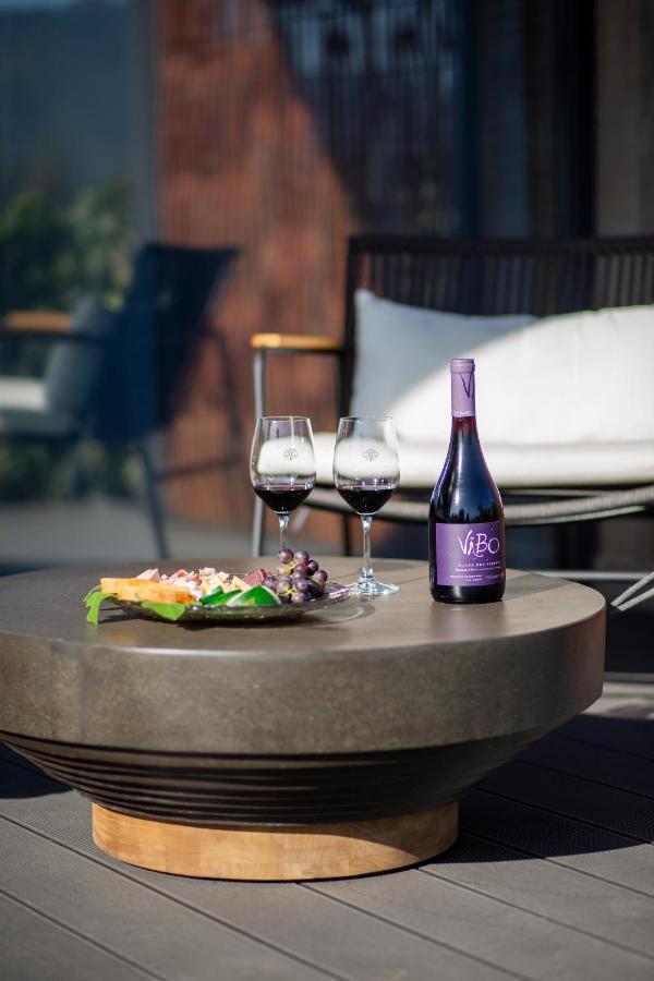 Vibo Wine Lodge At Viu Manent 圣克鲁兹 外观 照片