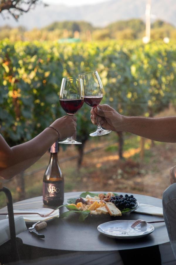 Vibo Wine Lodge At Viu Manent 圣克鲁兹 外观 照片