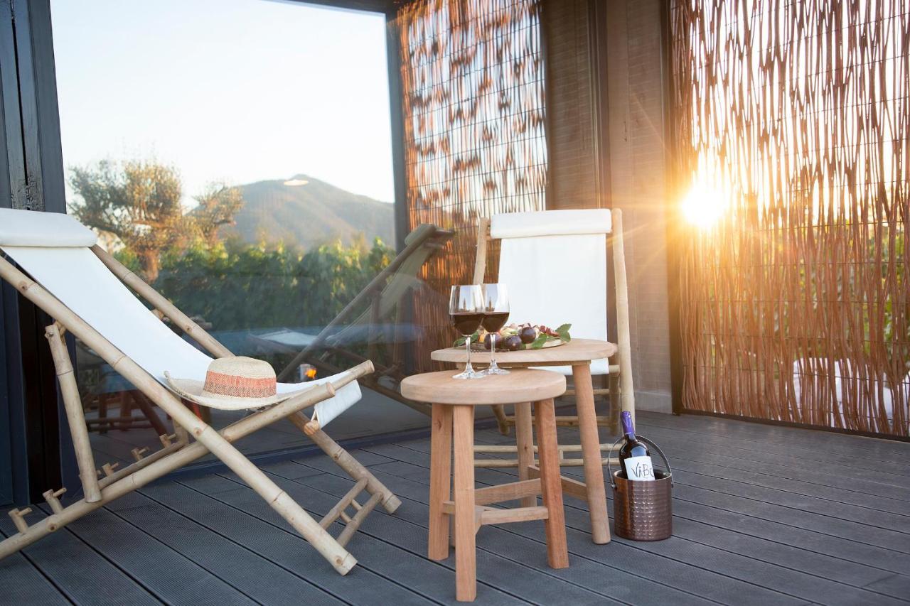 Vibo Wine Lodge At Viu Manent 圣克鲁兹 外观 照片