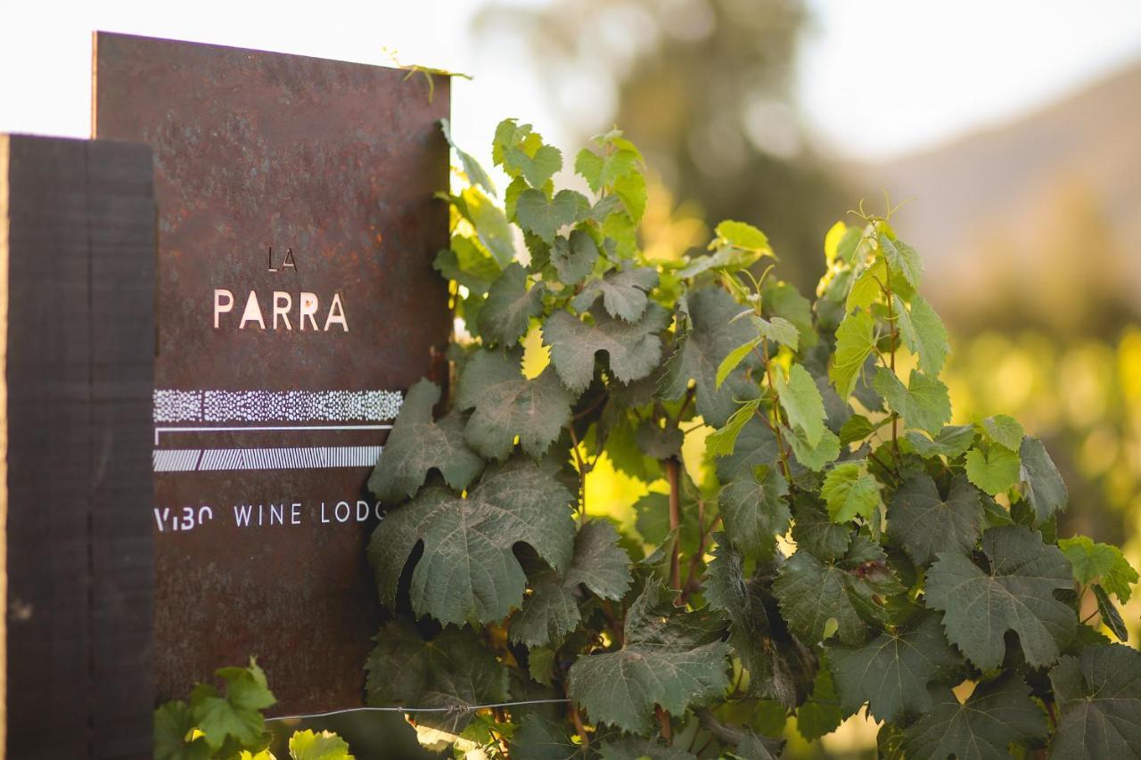 Vibo Wine Lodge At Viu Manent 圣克鲁兹 外观 照片