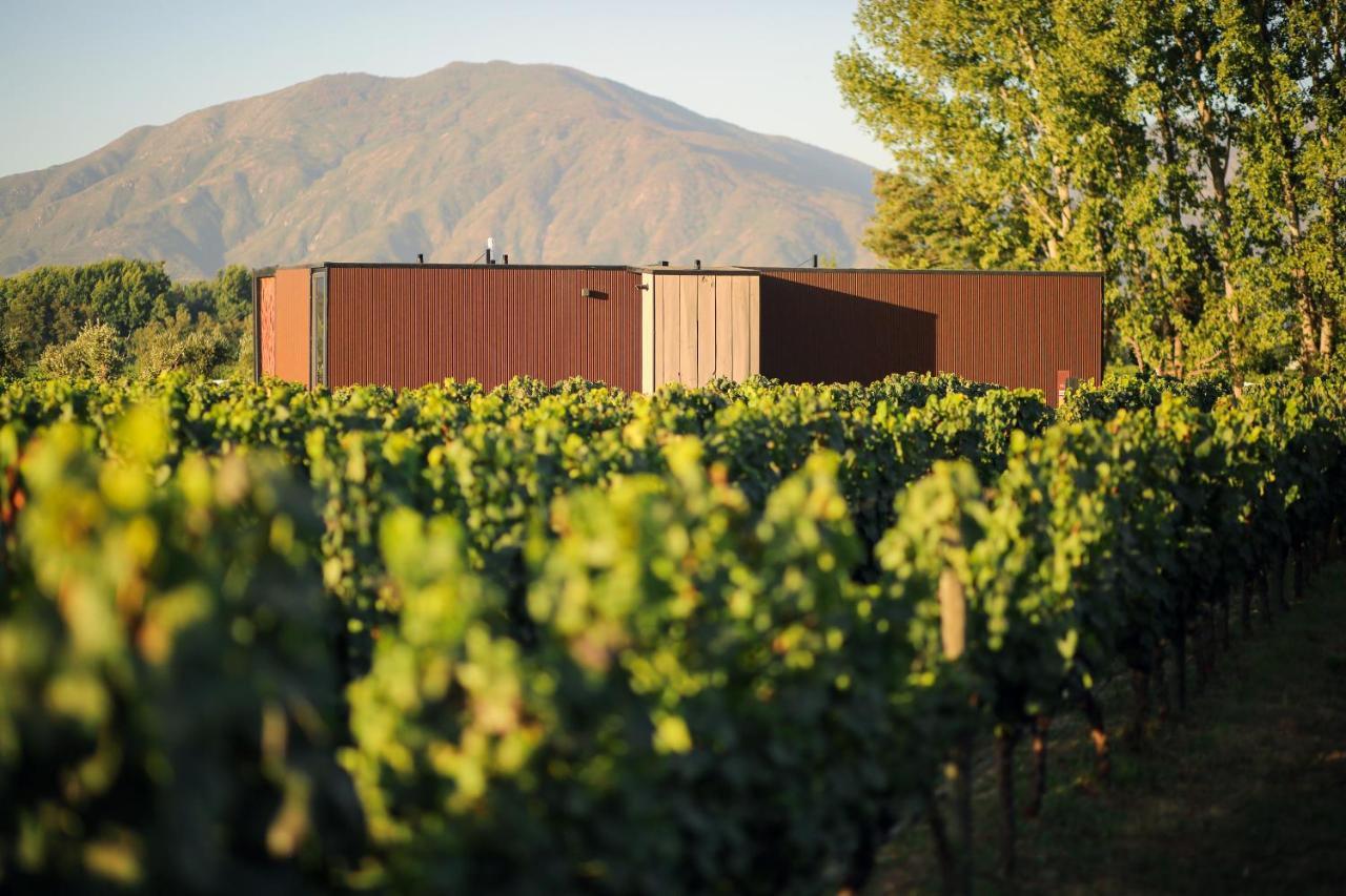 Vibo Wine Lodge At Viu Manent 圣克鲁兹 外观 照片