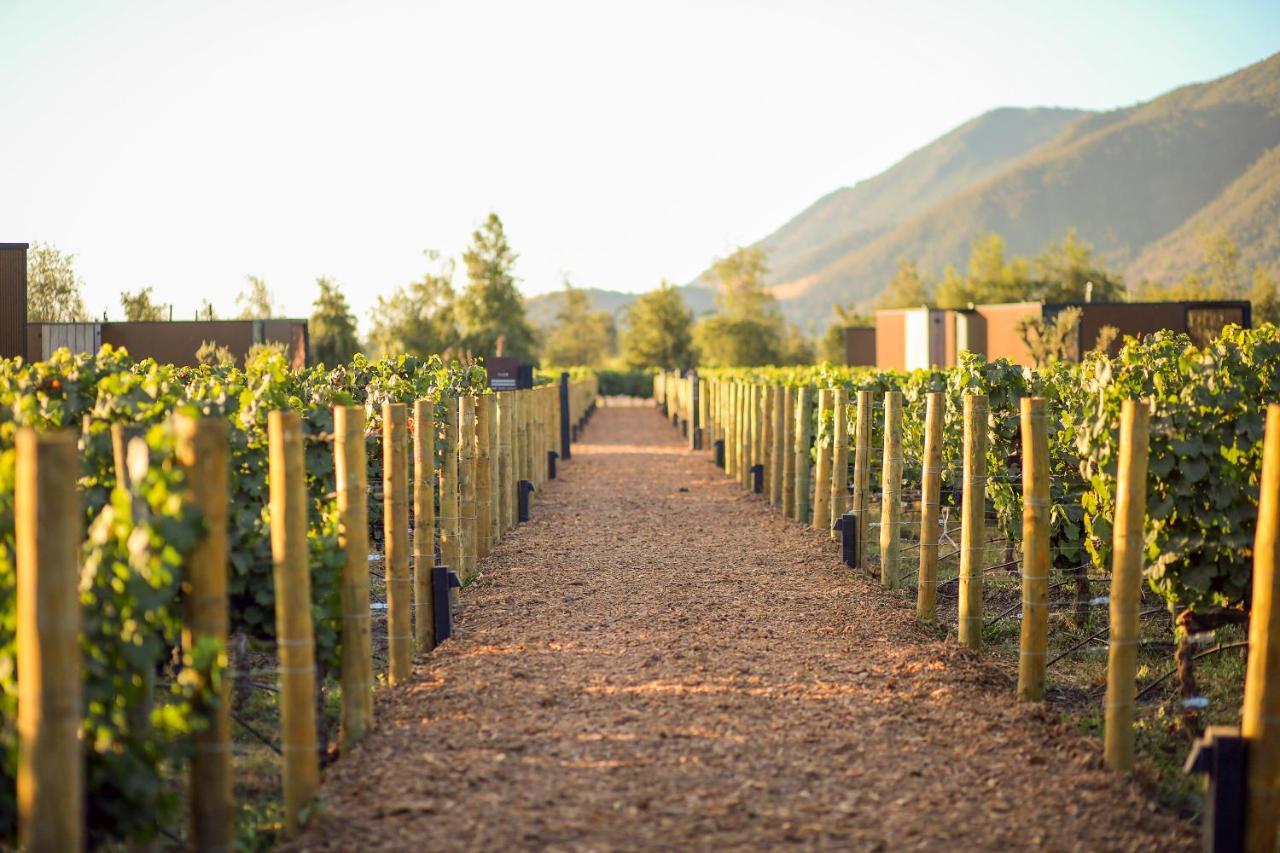Vibo Wine Lodge At Viu Manent 圣克鲁兹 外观 照片