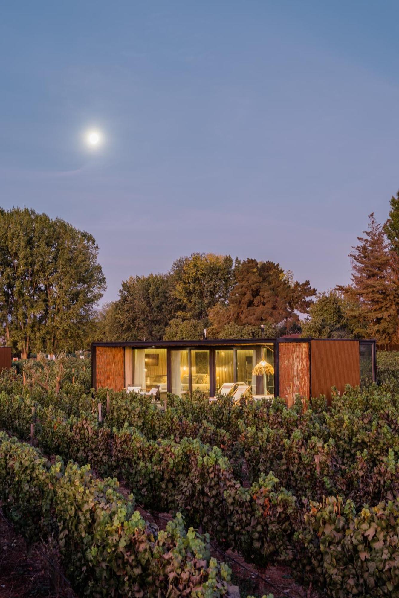 Vibo Wine Lodge At Viu Manent 圣克鲁兹 外观 照片